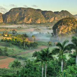 Volunteer for the Revolution Volunteer for the Revolution